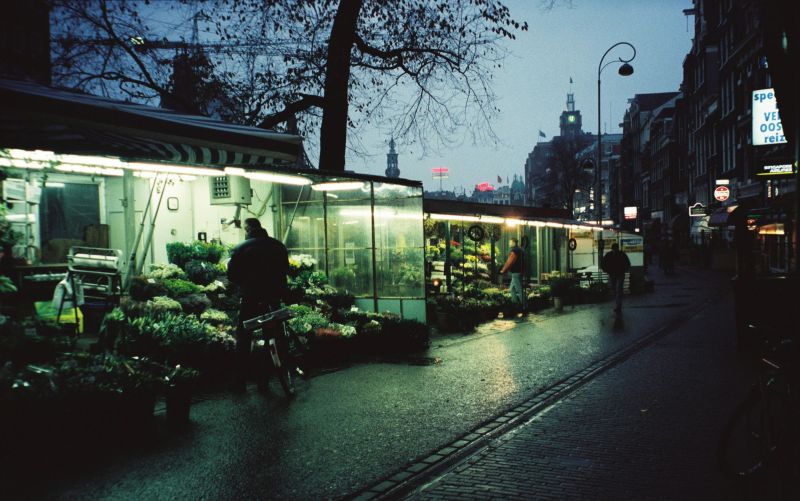 Flower Market, Amsterdam, Fall 1996. Part of “Amsterdams Licht”, a serie of pictures by Robby Müller.